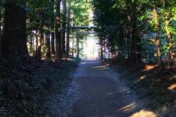 The scenery