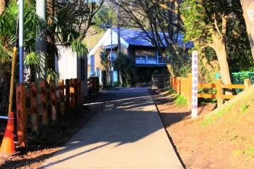 The path near Okunomiya