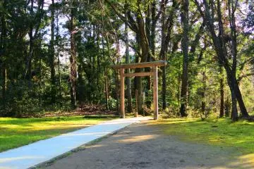 The "Torii" in the precinct