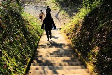 The long stairs