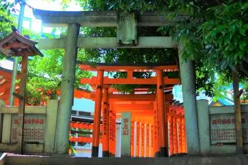 The Torii of Toyosaka Inari Shrine