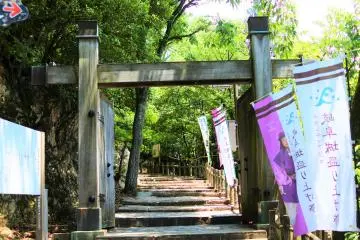 Gallery image