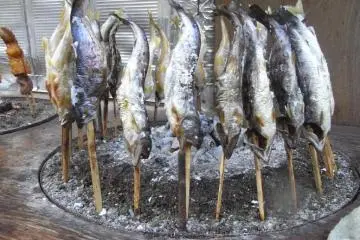 Fish