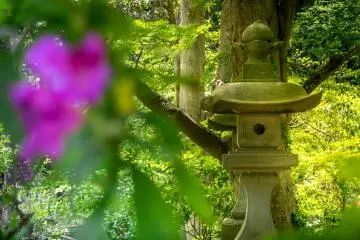 These colorful flowers make a welcome addition to this already impressive temple