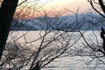 Une promenade le long de la rive après les photos