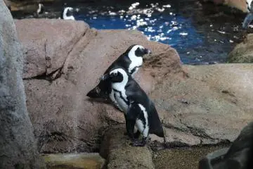 京都水族館