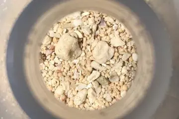 A peek into the world of stars (collecting sand in a plastic bottle for later processing)