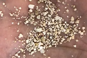 Sifting through the sand and looking for treasures