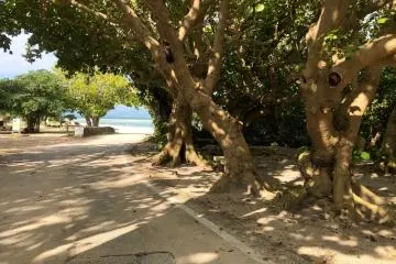 Beachcombing Fun at Kaiji Beach