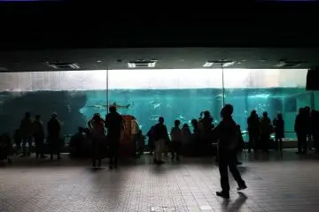 Large water tank
