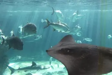Inside the large water tank