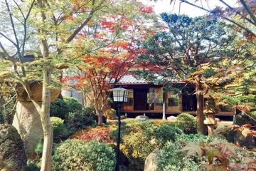 Seeing the seasons change here is special!
