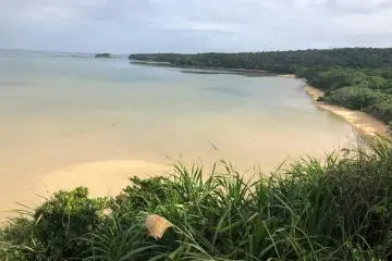 Beautiful beaches in Iriomote Island on the way to the Buffalo Cart Station