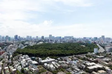 Tokyo's Natural Monument and Historic Site