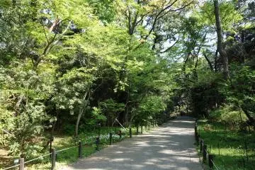 Former Imperial Land now part of the National Institute for Nature Study