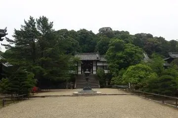 Looking up at Mount Shinaga 