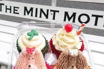 You can enjoy the cupcakes to-go