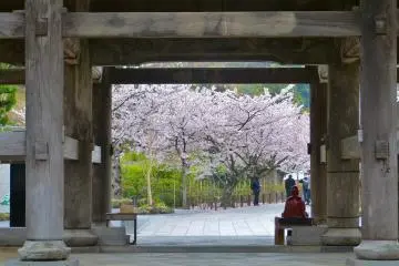 After passing under the great San-mon Gate, look back over your shoulder