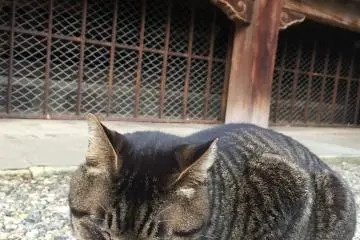 Sangat menggemaskan