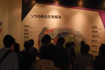Crowds gathering around the information