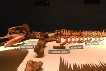 A reconstruction effort