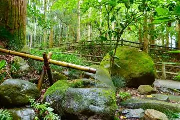 Water basin