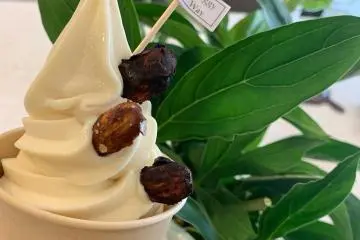 Vegan soft serve