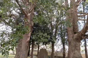 Educational monument in Kodokan