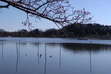 Lake Senba