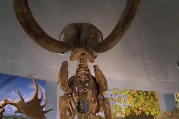 Mengesankan!