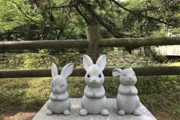 At Izumo Taisha Shrine