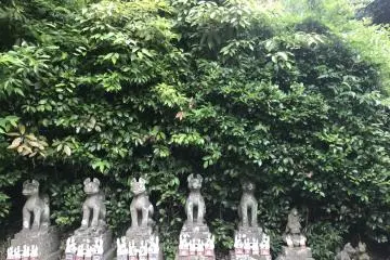Leafy surroundings for these statues