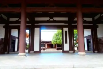 มองไปยังโอเอซิสกลางเมือง