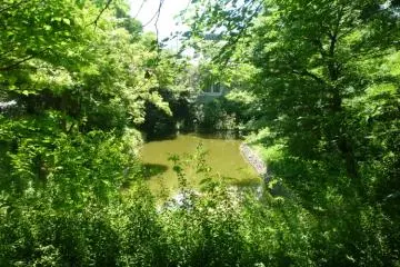Part of the moat, with the museum in the background (Photo: PPF)