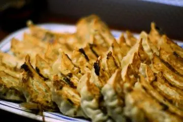 Utsunomiya gyoza dumplings
