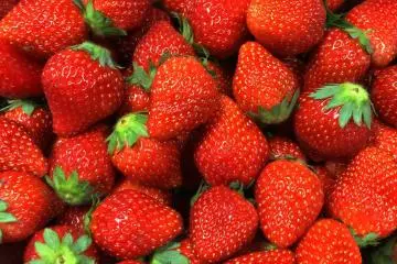 Tochiotome strawberries (cropped)