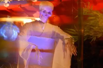 Even a dead bride made an appearance.