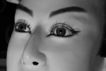 Every face is created by the same man, over the course of the year.