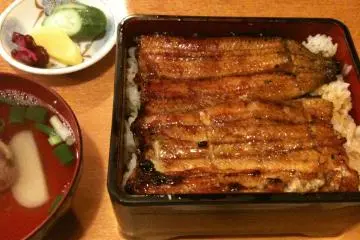 Unagi-don, eel on a bed of rice. (Photo: <a href="https://www.flickr.com/photos/nhayashida/4585909459/in/photolist-7ZeZ7t-a4LvE3-8TfwhW-9ZiE1c-4Vn8jk-a1KD3o-9Sk1eS-4MnwY3-9Z5j5J-9oc95o-9S7vvJ-9CZ2Fb-7CPmWi-6xrKY6-bwXfsC-bwXfih-pUP6t-6w3pXX-6DQH2W-6m2sFg-6DLxDx-a5H45u-6DQGM5-a5H451-a5H45L-6Fihm1-9hPtch-4Vrk5f-4Vn83v-jHycx-sfimx-6w3dBR-vGDkS-4Vn8pv-4Vn8tM-6LPWcG-Pjx4j-KLwqtT-8zoM26-4Vn89M-86txY9-86qmAP-86twrh-86txod-86tw8E-7FcdrT-7Fg7vW-7FcdaZ-86qkvv-6dZbem" target="_blank" rel="noreferrer noopener nofollow">nhayashida</a> / <a href="https://creativecommons.org/licenses/by/2.0/" target="_blank" rel="noreferrer noopener nofollow">CC BY 2.0</a>)