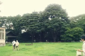 대저택의 정원