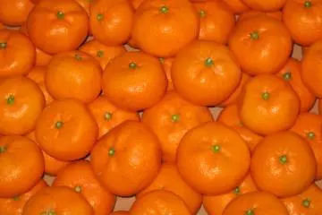 Mikan