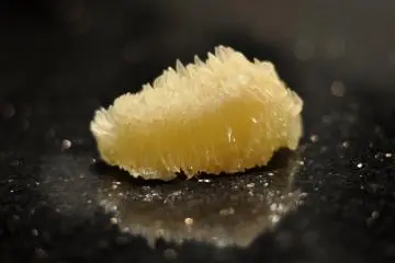 Flesh of the buntan citrus fruit