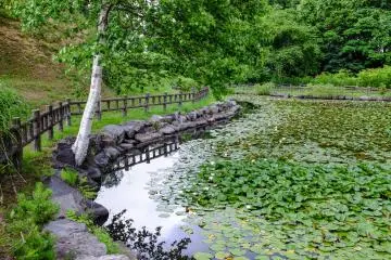 A safety fence surrounds the pond. It's quite easy to miss this pond if you don't venture down the stairs