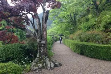 Be at peace with nature