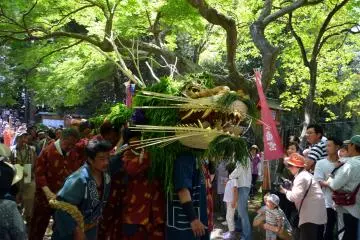 Snake on its way to the shrine