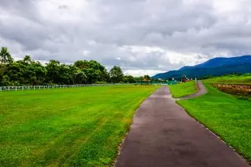 The park also features a bicycle/jogging track that runs the length of the park