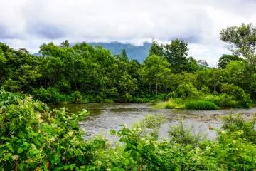 The Shiribetsu River runs beside the path. Although sometimes hard to see during the summer due to dense foliage, the river makes great viewing in spring and autumn