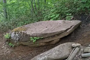 A nice table for lunch