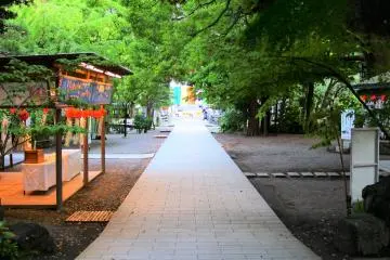 Gallery image