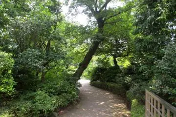 One of several entrances - this one from the street by Mori Tower